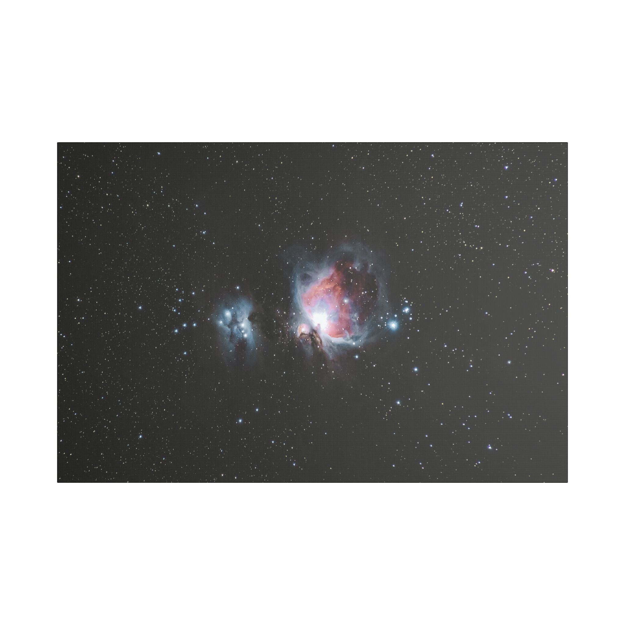 Cosmic Bloom