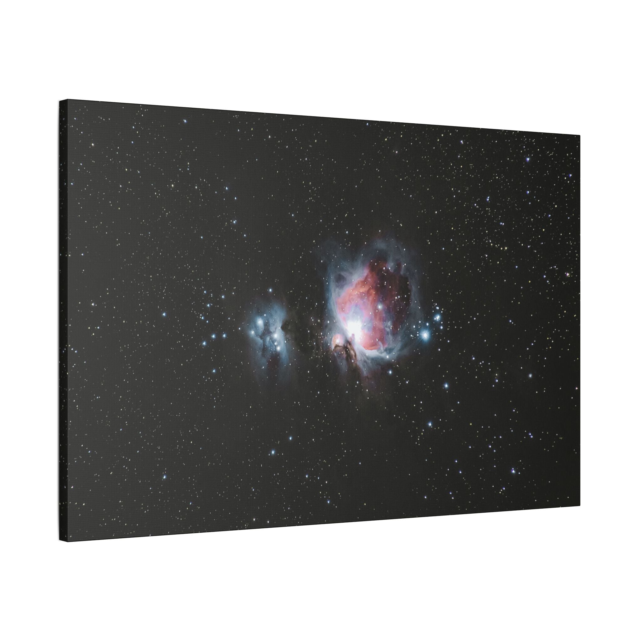 Cosmic Bloom