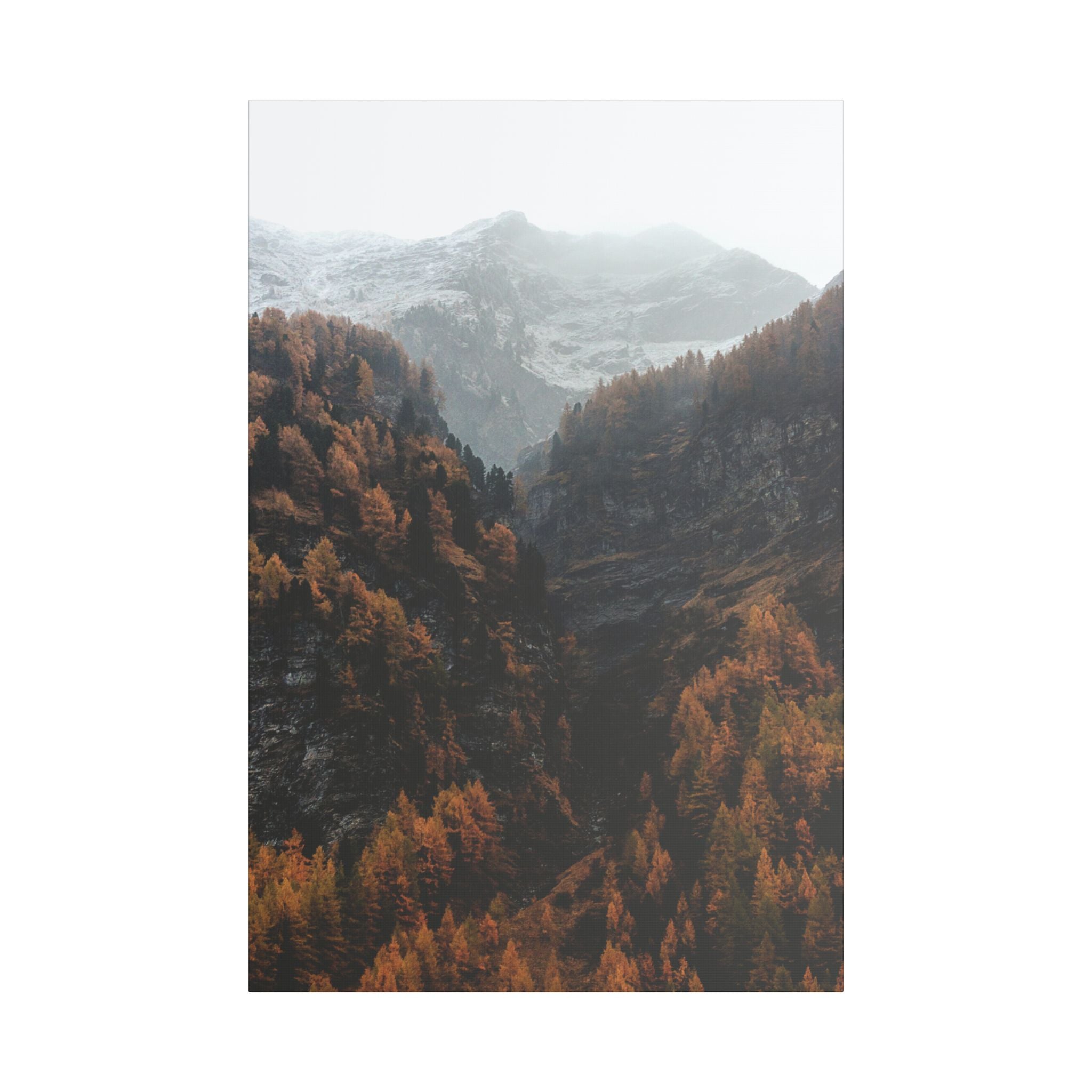 Autumn Descent