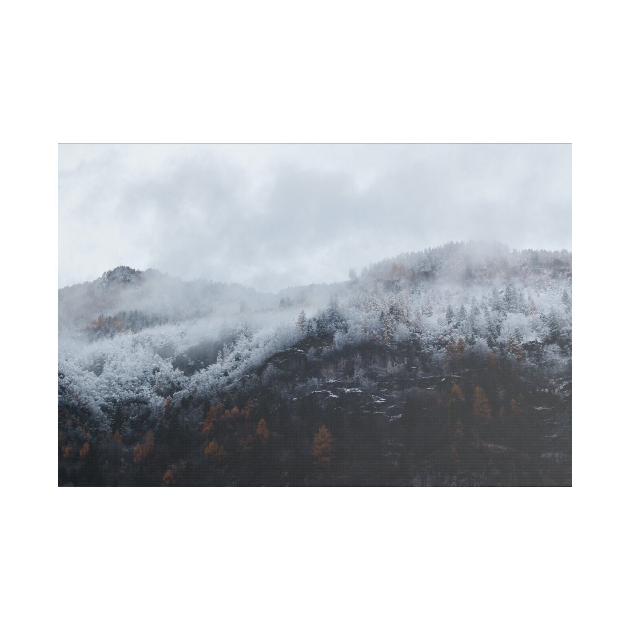 Whispers of the Forest