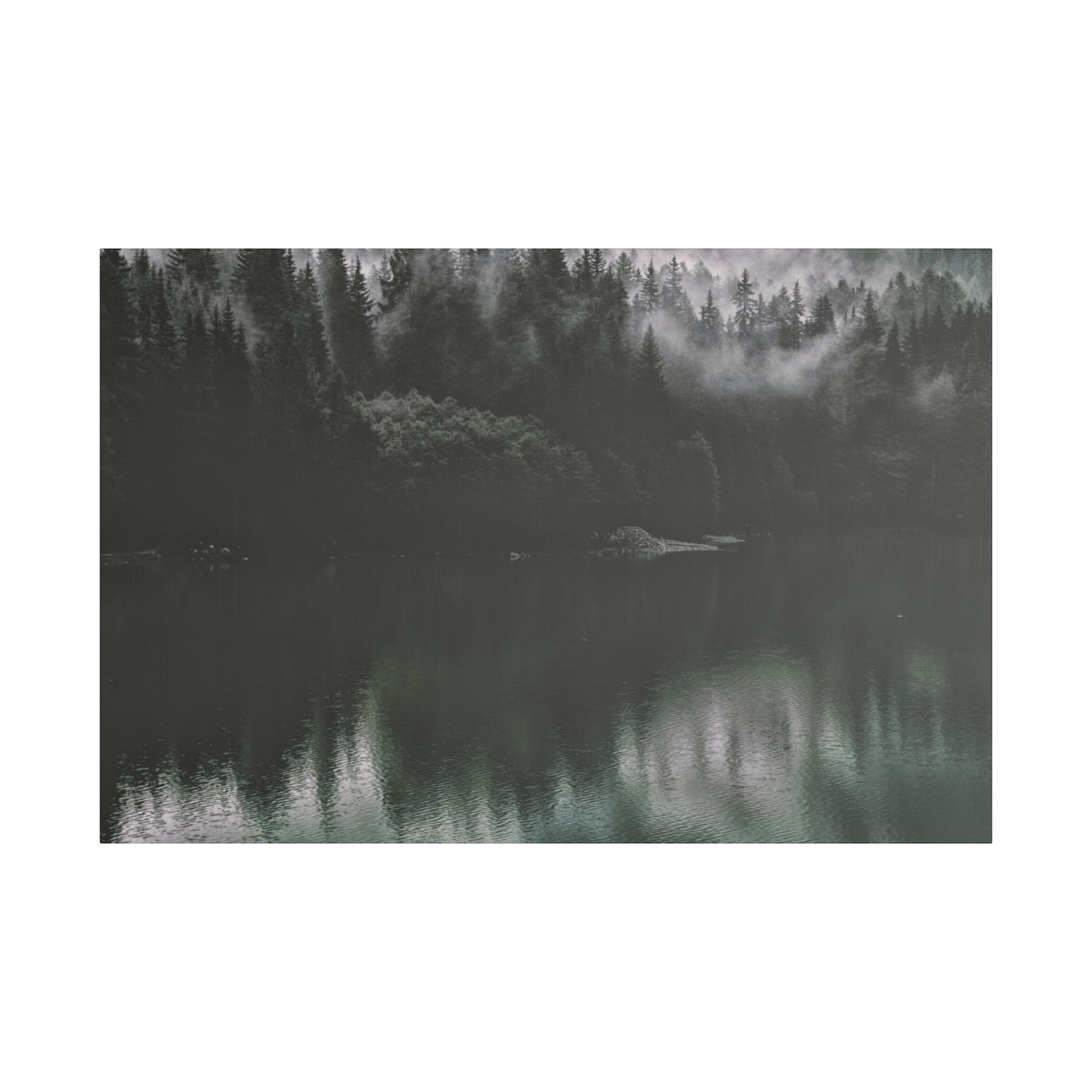 Stillwater Silence