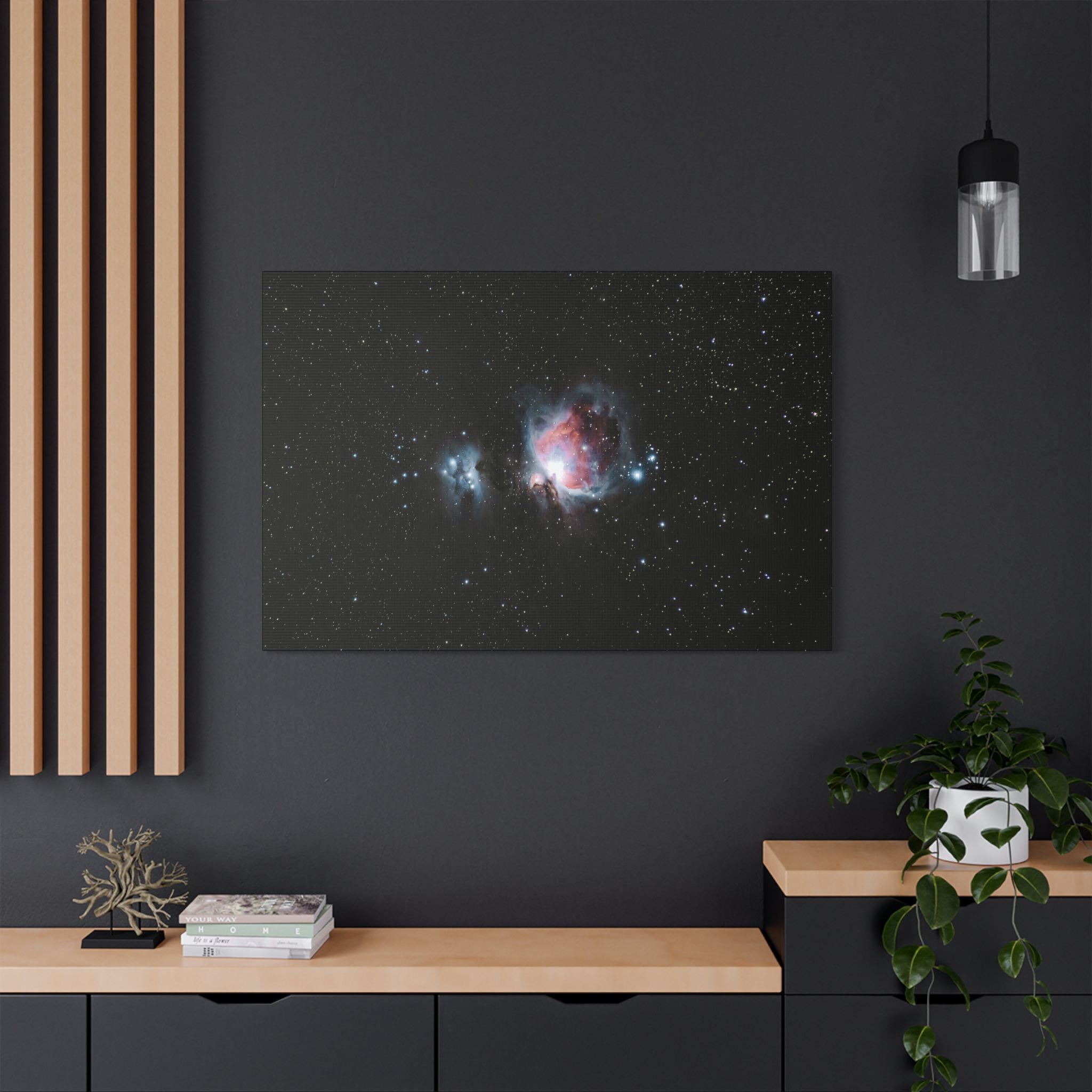 Cosmic Bloom