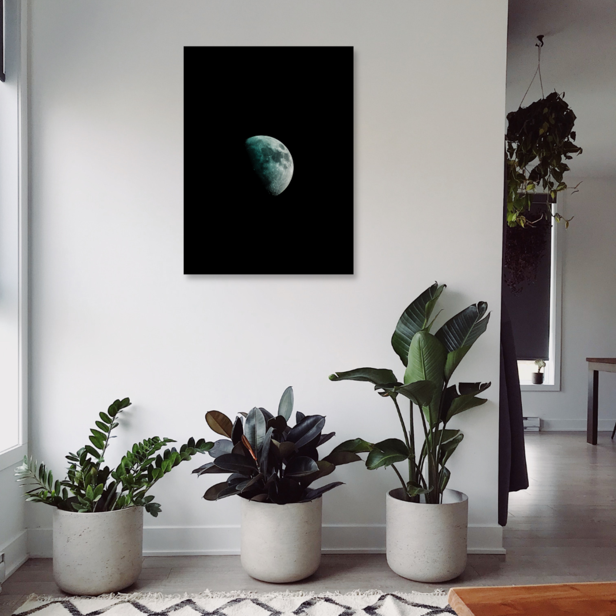 Lunar Solitude
